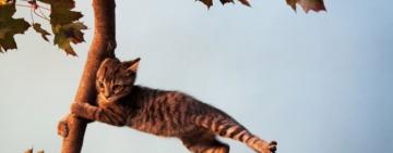 Увага! На Одещині очікується погіршення погодних умов